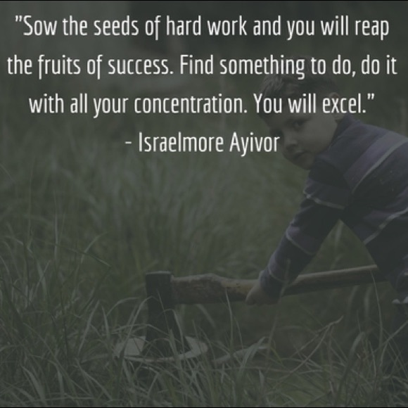 Meet your Posher, Rebecca A. - Picture 4 of 5